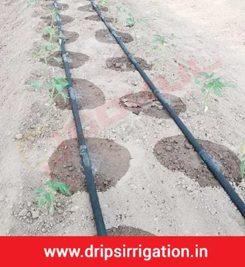 Drip Irrigation System - Ball Valves