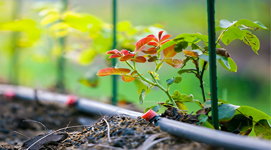 Drip irrigation system manufacturer