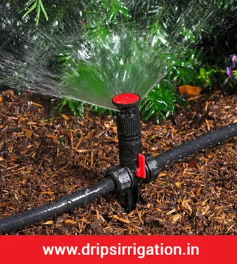 Drip Irrigation System in Ahmedabad